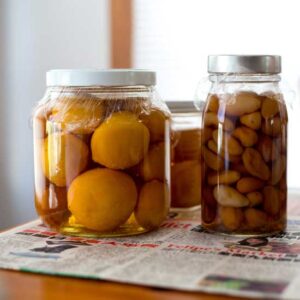 101 Reasons We Can or Preserve Food Image